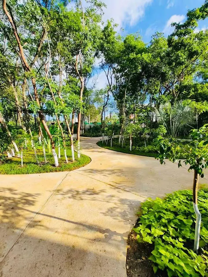 Departamento En Playa Del Carmen公寓 公寓